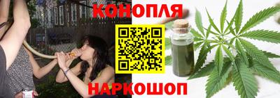 крисы Краснодар