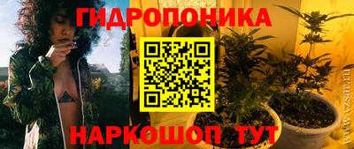 стафф Краснокаменск