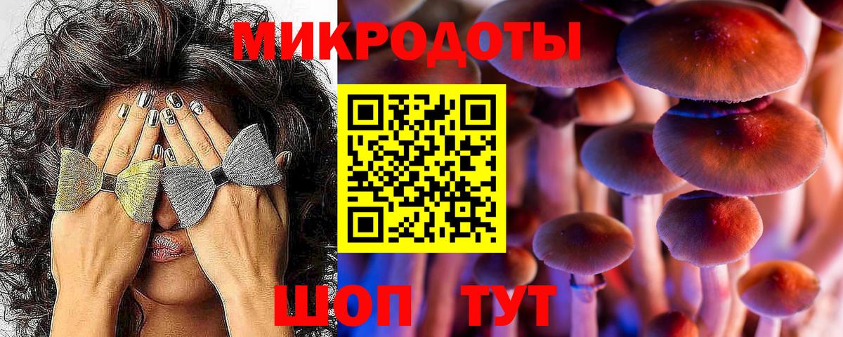 Галлюциногенные грибы Magic Shrooms  Вход с VPN  Зеленогорск  Галлюциногенные грибы ЛСД 